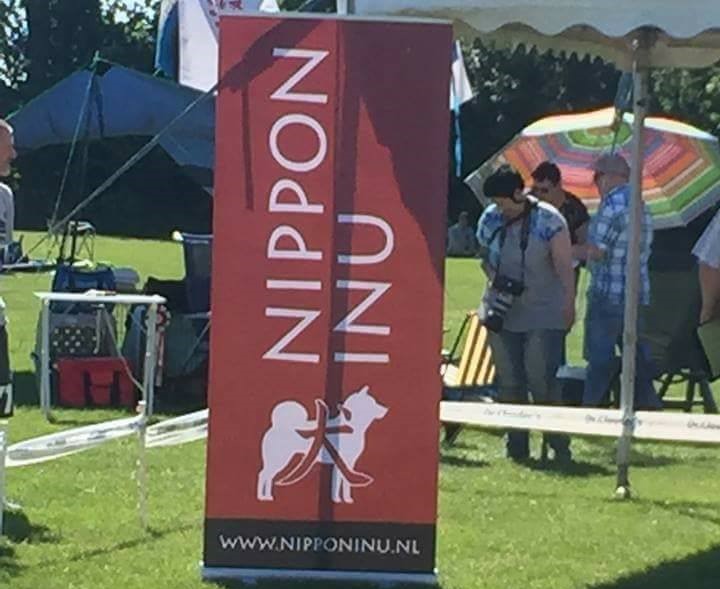 Nizu Shiba Inu Nippon Inu Dog Show